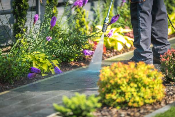 Reliable Skippers Corner, NC Pressure Washing Solutions